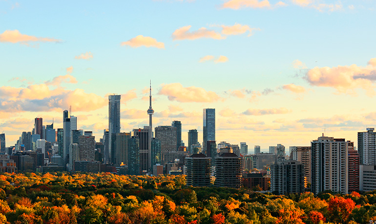 Toronto Skyline During Fall