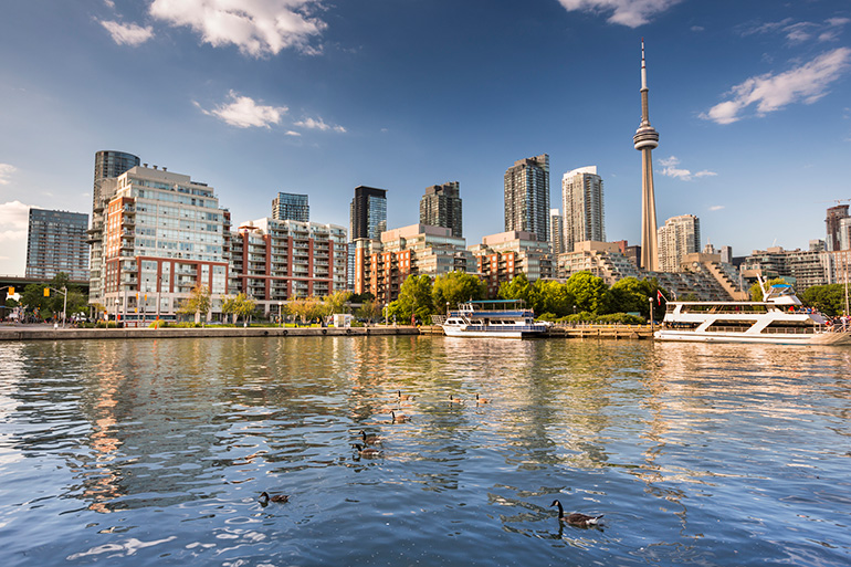 Skyline of Lake shore Condos in Near Downtown Toronto